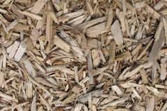 biomass boilers Grayswood